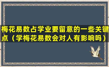 梅花易数占学业要留意的一些关键点（学梅花易数会对人有影响吗）