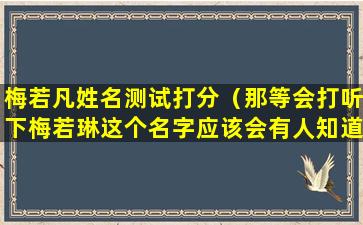 梅若凡姓名测试打分（那等会打听下梅若琳这个名字应该会有人知道吧）