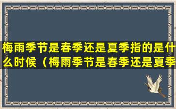 梅雨季节是春季还是夏季指的是什么时候（梅雨季节是春季还是夏季指的是什么时候啊）