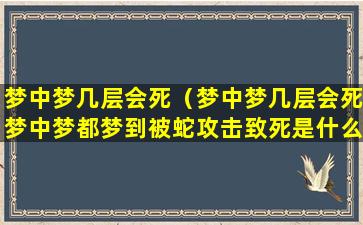 梦中梦几层会死（梦中梦几层会死梦中梦都梦到被蛇攻击致死是什么情况）