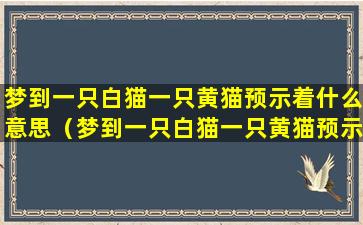 梦到一只白猫一只黄猫预示着什么意思（梦到一只白猫一只黄猫预示着什么意思呢）