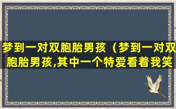 梦到一对双胞胎男孩（梦到一对双胞胎男孩,其中一个特爱看着我笑,可爱）