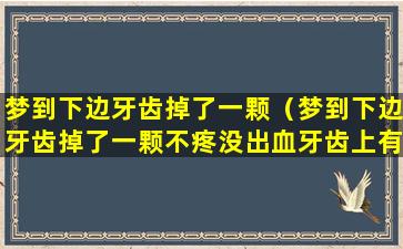 梦到下边牙齿掉了一颗（梦到下边牙齿掉了一颗不疼没出血牙齿上有个黑斑）