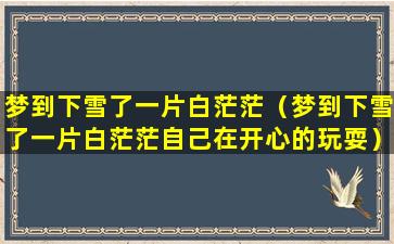 梦到下雪了一片白茫茫（梦到下雪了一片白茫茫自己在开心的玩耍）