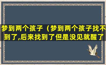 梦到两个孩子（梦到两个孩子找不到了,后来找到了但是没见就醒了）