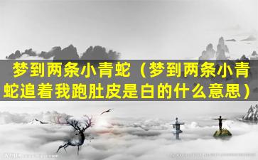 梦到两条小青蛇（梦到两条小青蛇追着我跑肚皮是白的什么意思）