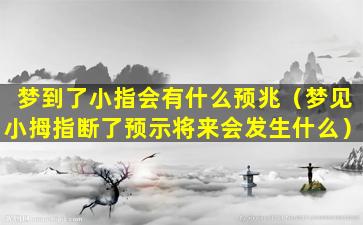 梦到了小指会有什么预兆（梦见小拇指断了预示将来会发生什么）