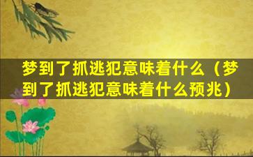 梦到了抓逃犯意味着什么（梦到了抓逃犯意味着什么预兆）