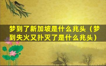 梦到了新加坡是什么兆头（梦到失火又扑灭了是什么兆头）