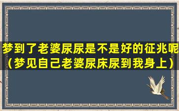 梦到了老婆尿尿是不是好的征兆呢（梦见自己老婆尿床尿到我身上）