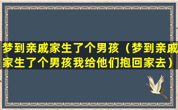 梦到亲戚家生了个男孩（梦到亲戚家生了个男孩我给他们抱回家去）