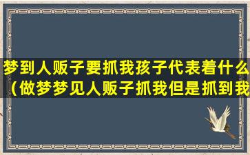 梦到人贩子要抓我孩子代表着什么（做梦梦见人贩子抓我但是抓到我之后对我很好）