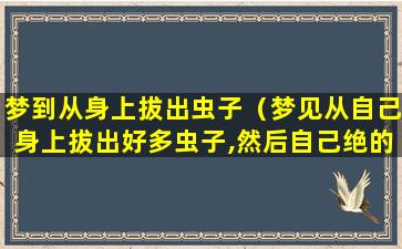 梦到从身上拔出虫子（梦见从自己身上拔出好多虫子,然后自己绝的舒服多了）