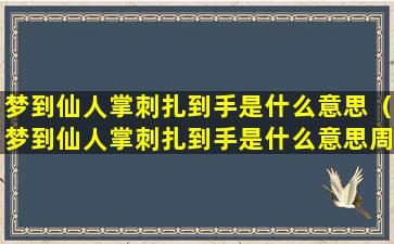 梦到仙人掌刺扎到手是什么意思（梦到仙人掌刺扎到手是什么意思周公解梦）