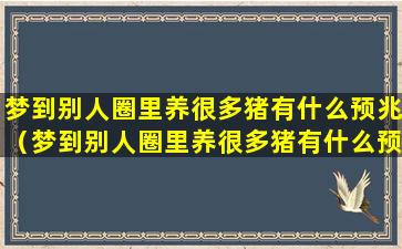 梦到别人圈里养很多猪有什么预兆（梦到别人圈里养很多猪有什么预兆解梦）