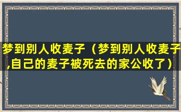 梦到别人收麦子（梦到别人收麦子,自己的麦子被死去的家公收了）