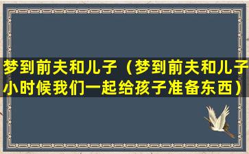 梦到前夫和儿子（梦到前夫和儿子小时候我们一起给孩子准备东西）