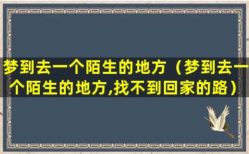 梦到去一个陌生的地方（梦到去一个陌生的地方,找不到回家的路）