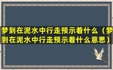 梦到在泥水中行走预示着什么（梦到在泥水中行走预示着什么意思）