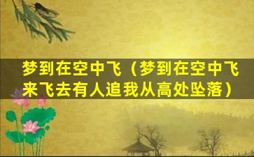 梦到在空中飞（梦到在空中飞来飞去有人追我从高处坠落）