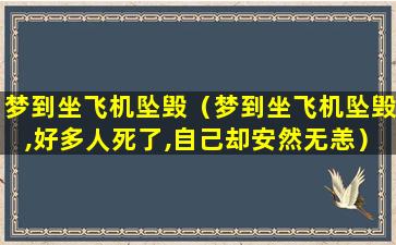 梦到坐飞机坠毁（梦到坐飞机坠毁,好多人死了,自己却安然无恙）