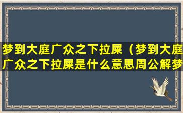 梦到大庭广众之下拉屎（梦到大庭广众之下拉屎是什么意思周公解梦）