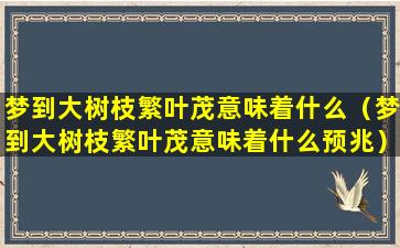 梦到大树枝繁叶茂意味着什么（梦到大树枝繁叶茂意味着什么预兆）