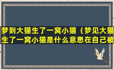 梦到大猫生了一窝小猫（梦见大猫生了一窝小猫是什么意思在自己被窝里）