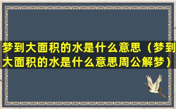 梦到大面积的水是什么意思（梦到大面积的水是什么意思周公解梦）