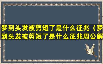 梦到头发被剪短了是什么征兆（梦到头发被剪短了是什么征兆周公解梦）