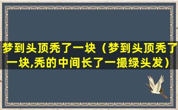 梦到头顶秃了一块（梦到头顶秃了一块,秃的中间长了一撮绿头发）