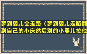 梦到婴儿会走路（梦到婴儿走路翻到自己的小床然后别的小婴儿拉他的手臂）