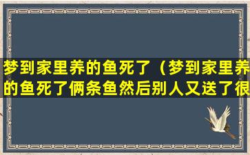 梦到家里养的鱼死了（梦到家里养的鱼死了俩条鱼然后别人又送了很多活鱼）