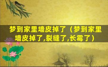 梦到家里墙皮掉了（梦到家里墙皮掉了,裂缝了,长霉了）