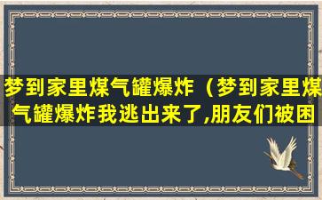 梦到家里煤气罐爆炸（梦到家里煤气罐爆炸我逃出来了,朋友们被困住了）