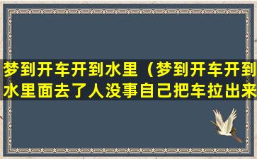 梦到开车开到水里（梦到开车开到水里面去了人没事自己把车拉出来了）