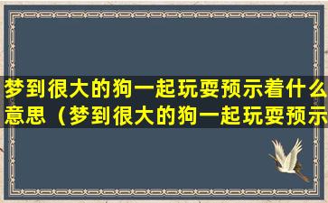 梦到很大的狗一起玩耍预示着什么意思（梦到很大的狗一起玩耍预示着什么意思呢）