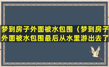 梦到房子外面被水包围（梦到房子外面被水包围最后从水里游出去了）