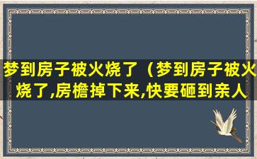 梦到房子被火烧了（梦到房子被火烧了,房檐掉下来,快要砸到亲人）