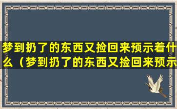 梦到扔了的东西又捡回来预示着什么（梦到扔了的东西又捡回来预示着什么预兆）