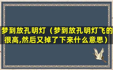 梦到放孔明灯（梦到放孔明灯飞的很高,然后又掉了下来什么意思）