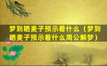 梦到晒麦子预示着什么（梦到晒麦子预示着什么周公解梦）