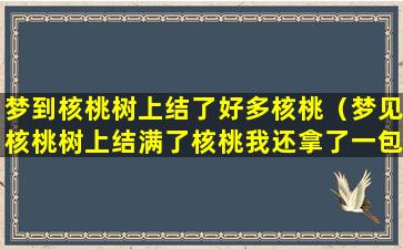 梦到核桃树上结了好多核桃（梦见核桃树上结满了核桃我还拿了一包）