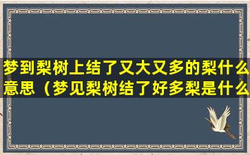 梦到梨树上结了又大又多的梨什么意思（梦见梨树结了好多梨是什么意思）