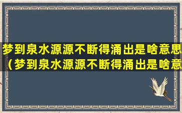 梦到泉水源源不断得涌出是啥意思（梦到泉水源源不断得涌出是啥意思呢）