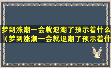 梦到涨潮一会就退潮了预示着什么（梦到涨潮一会就退潮了预示着什么意思）