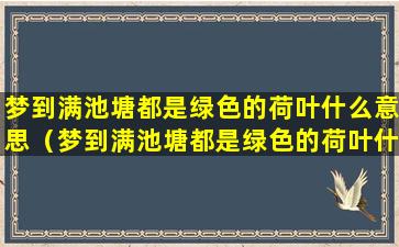 梦到满池塘都是绿色的荷叶什么意思（梦到满池塘都是绿色的荷叶什么意思啊）