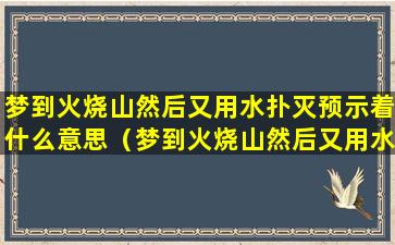 梦到火烧山然后又用水扑灭预示着什么意思（梦到火烧山然后又用水扑灭预示着什么意思呢）