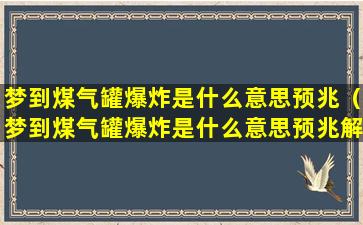 梦到煤气罐爆炸是什么意思预兆（梦到煤气罐爆炸是什么意思预兆解梦）