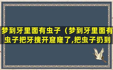 梦到牙里面有虫子（梦到牙里面有虫子把牙搜开窟窿了,把虫子扔到门外）